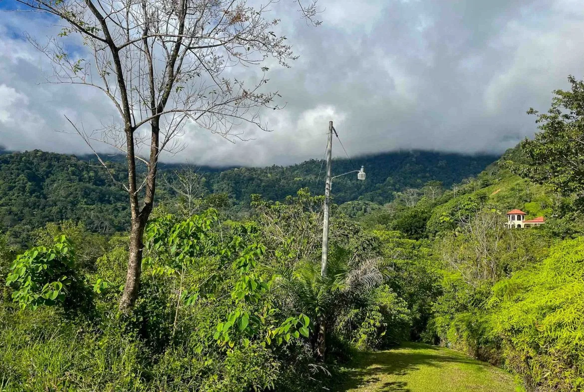MOUNTAIN BUILDING PROPERTY WITH OCEAN VIEWS, IN OJOCHAL – 0.38 ACRES, photo 12