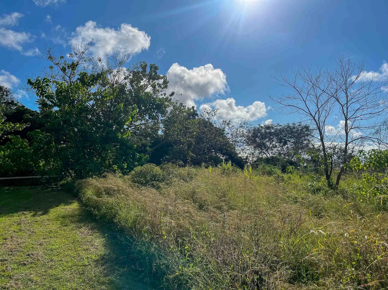 MOUNTAIN BUILDING PROPERTY WITH OCEAN VIEWS, IN OJOCHAL – 0.38 ACRES, photo 13