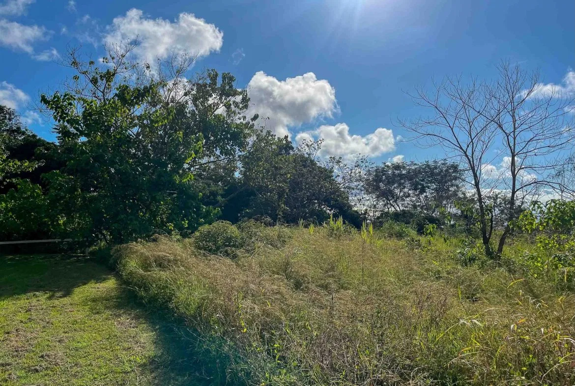 MOUNTAIN BUILDING PROPERTY WITH OCEAN VIEWS, IN OJOCHAL – 0.38 ACRES, photo 14