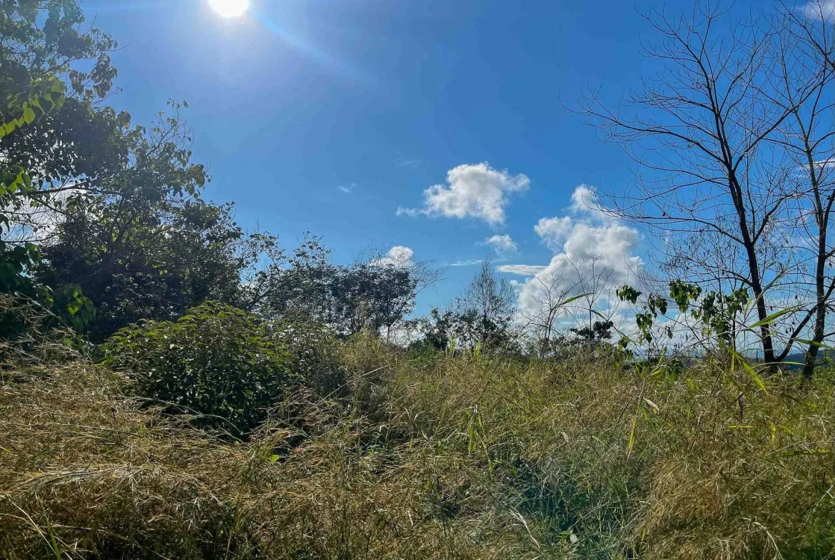 MOUNTAIN BUILDING PROPERTY WITH OCEAN VIEWS, IN OJOCHAL – 0.38 ACRES, photo 16