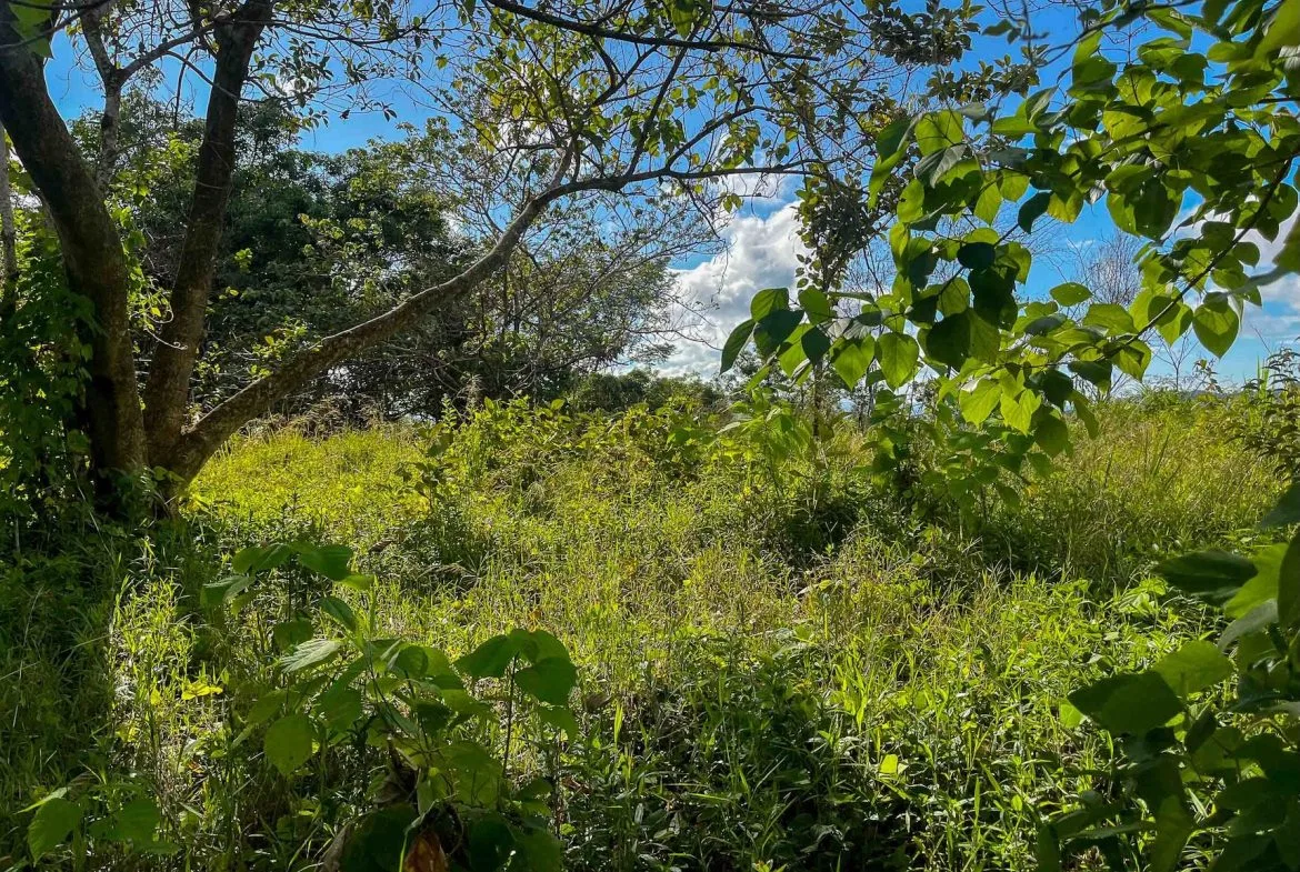 MOUNTAIN BUILDING PROPERTY WITH OCEAN VIEWS, IN OJOCHAL – 0.38 ACRES, photo 18