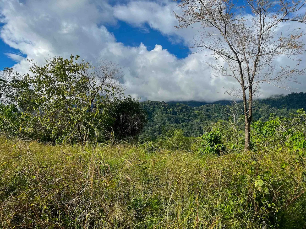 MOUNTAIN BUILDING PROPERTY WITH OCEAN VIEWS, IN OJOCHAL – 0.38 ACRES, photo 19