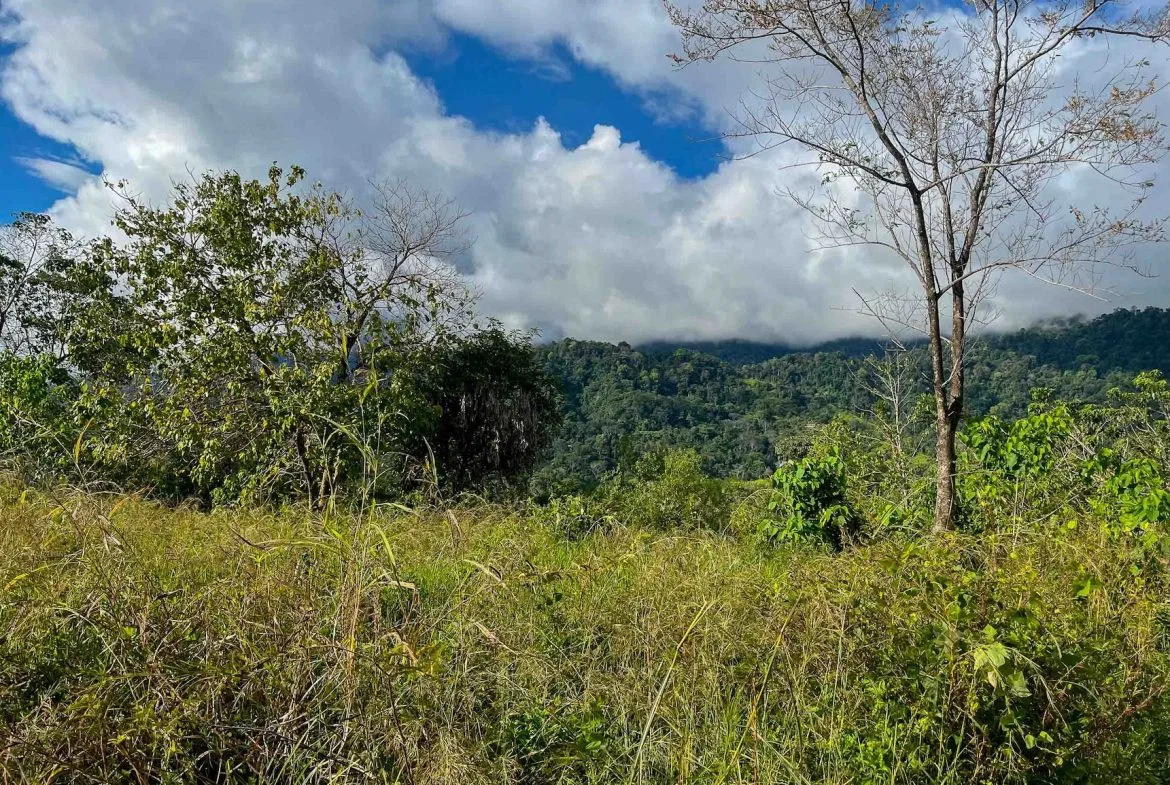 MOUNTAIN BUILDING PROPERTY WITH OCEAN VIEWS, IN OJOCHAL – 0.38 ACRES, photo 20