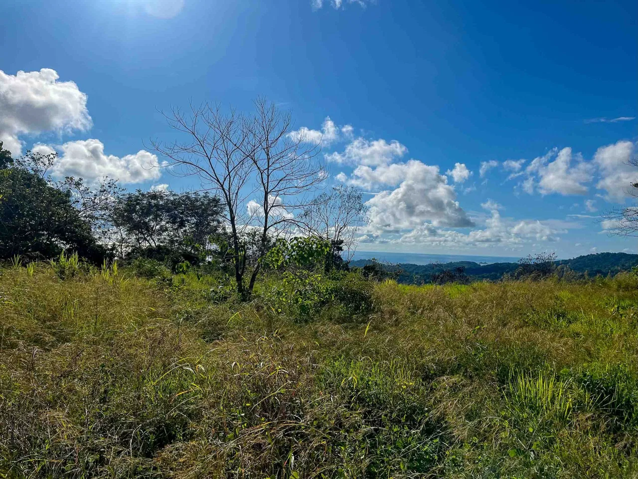 MOUNTAIN BUILDING PROPERTY WITH OCEAN VIEWS, IN OJOCHAL – 0.38 ACRES, photo 3