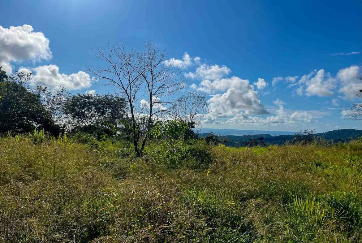 MOUNTAIN BUILDING PROPERTY WITH OCEAN VIEWS, IN OJOCHAL – 0.38 ACRES, photo 4