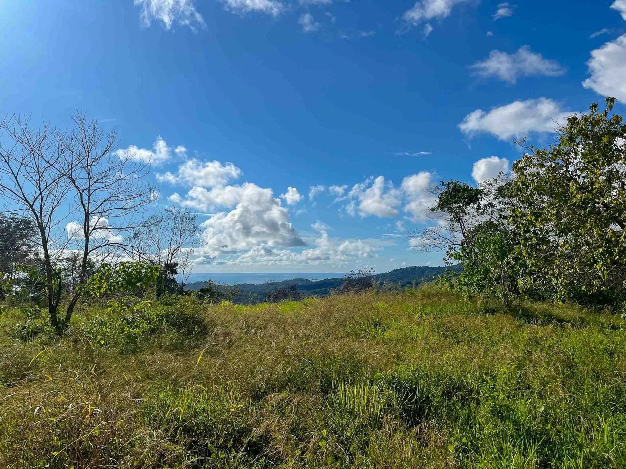 MOUNTAIN BUILDING PROPERTY WITH OCEAN VIEWS, IN OJOCHAL – 0.38 ACRES, photo 5