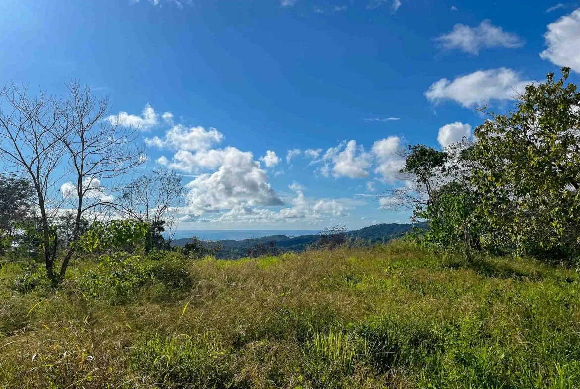 MOUNTAIN BUILDING PROPERTY WITH OCEAN VIEWS, IN OJOCHAL – 0.38 ACRES, photo 6