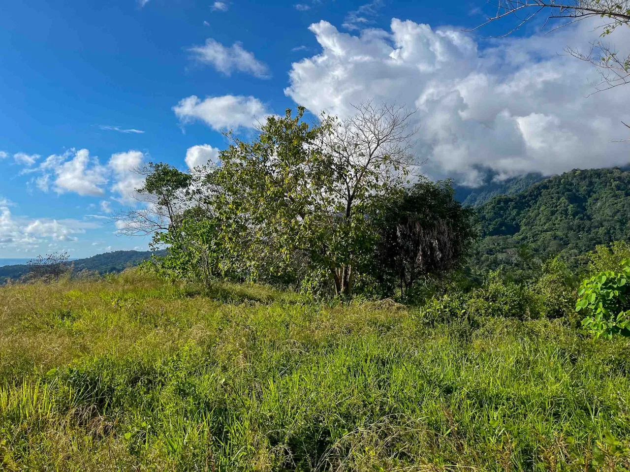 MOUNTAIN BUILDING PROPERTY WITH OCEAN VIEWS, IN OJOCHAL – 0.38 ACRES, photo 7