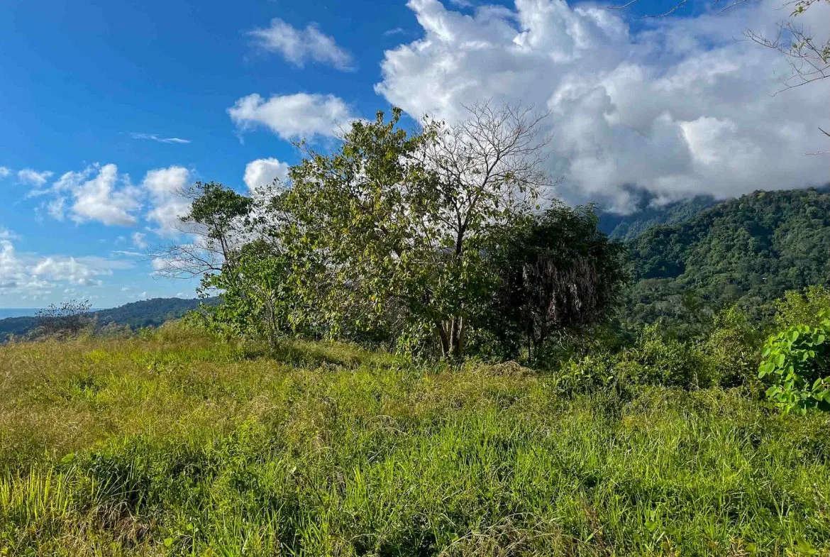MOUNTAIN BUILDING PROPERTY WITH OCEAN VIEWS, IN OJOCHAL – 0.38 ACRES, photo 8