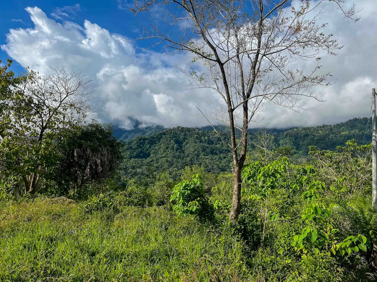 MOUNTAIN BUILDING PROPERTY WITH OCEAN VIEWS, IN OJOCHAL – 0.38 ACRES, photo 9