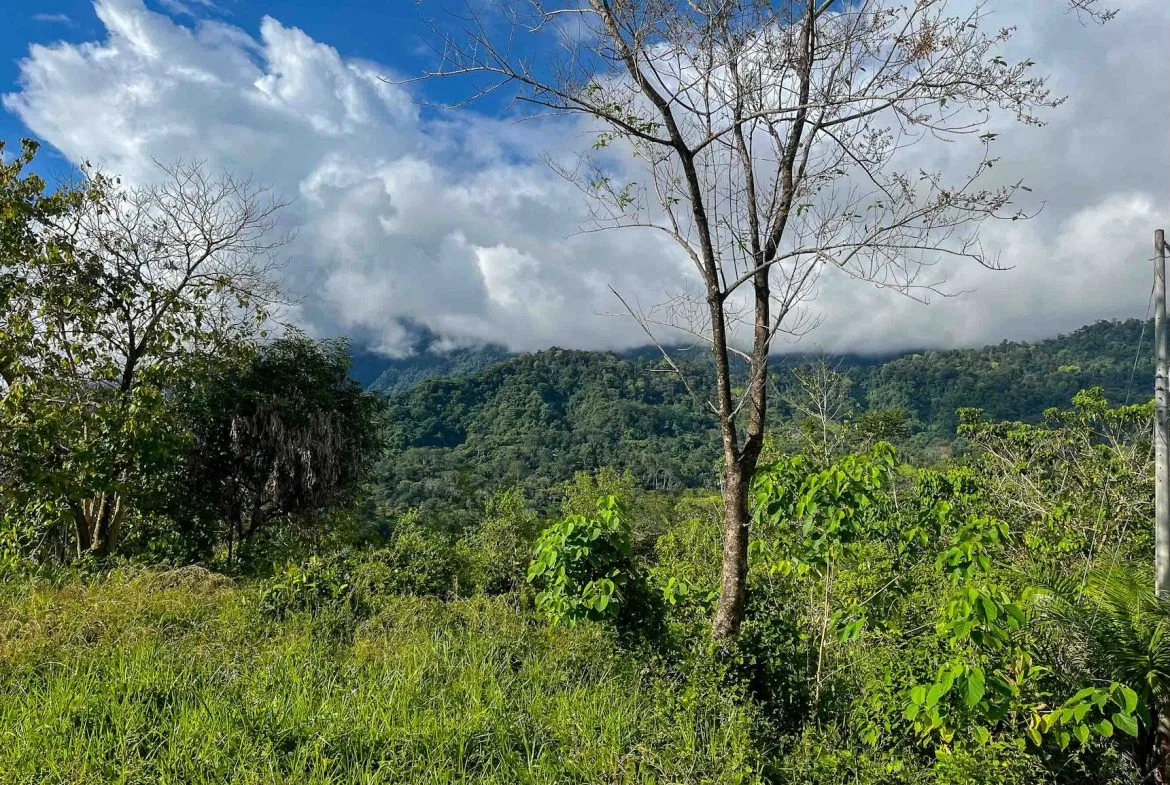 MOUNTAIN BUILDING PROPERTY WITH OCEAN VIEWS, IN OJOCHAL – 0.38 ACRES, photo 10