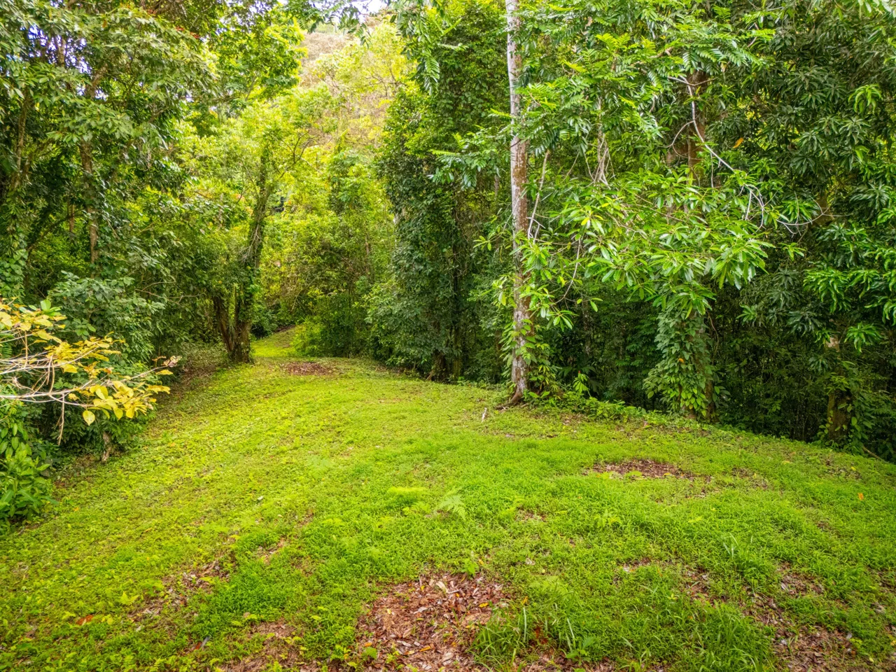 BUILDING MOUNTAIN PROPERTY WITH MOUNTAINS VIEWS, IN TRES RIOS – 9.11 ACRES, photo 11
