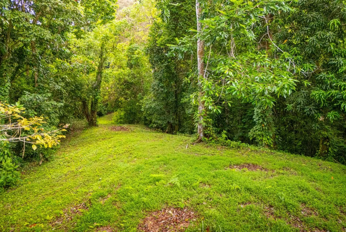 BUILDING MOUNTAIN PROPERTY WITH MOUNTAINS VIEWS, IN TRES RIOS – 9.11 ACRES, photo 12