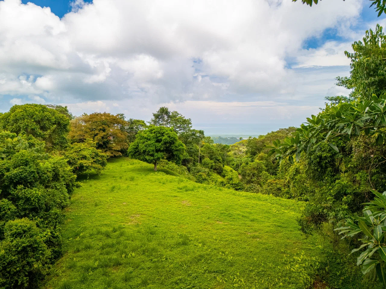 BUILDING MOUNTAIN PROPERTY WITH MOUNTAINS VIEWS, IN TRES RIOS – 9.11 ACRES, photo 15