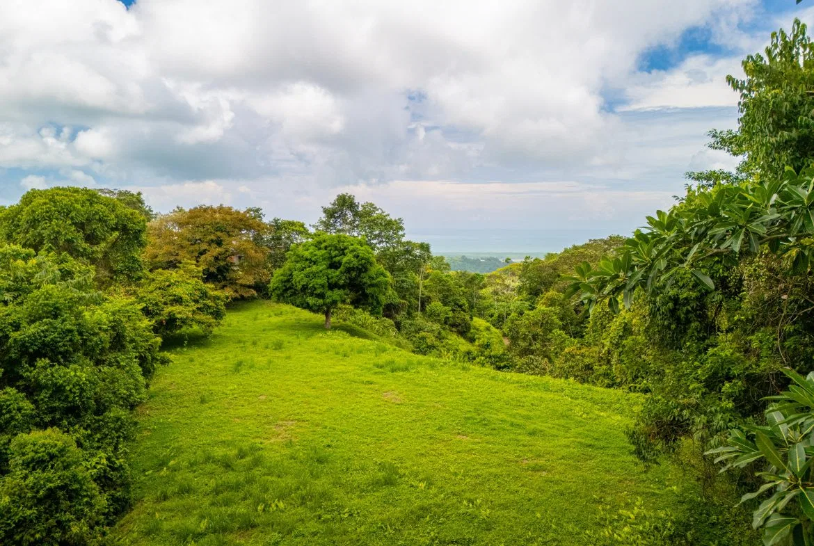 BUILDING MOUNTAIN PROPERTY WITH MOUNTAINS VIEWS, IN TRES RIOS – 9.11 ACRES, photo 16