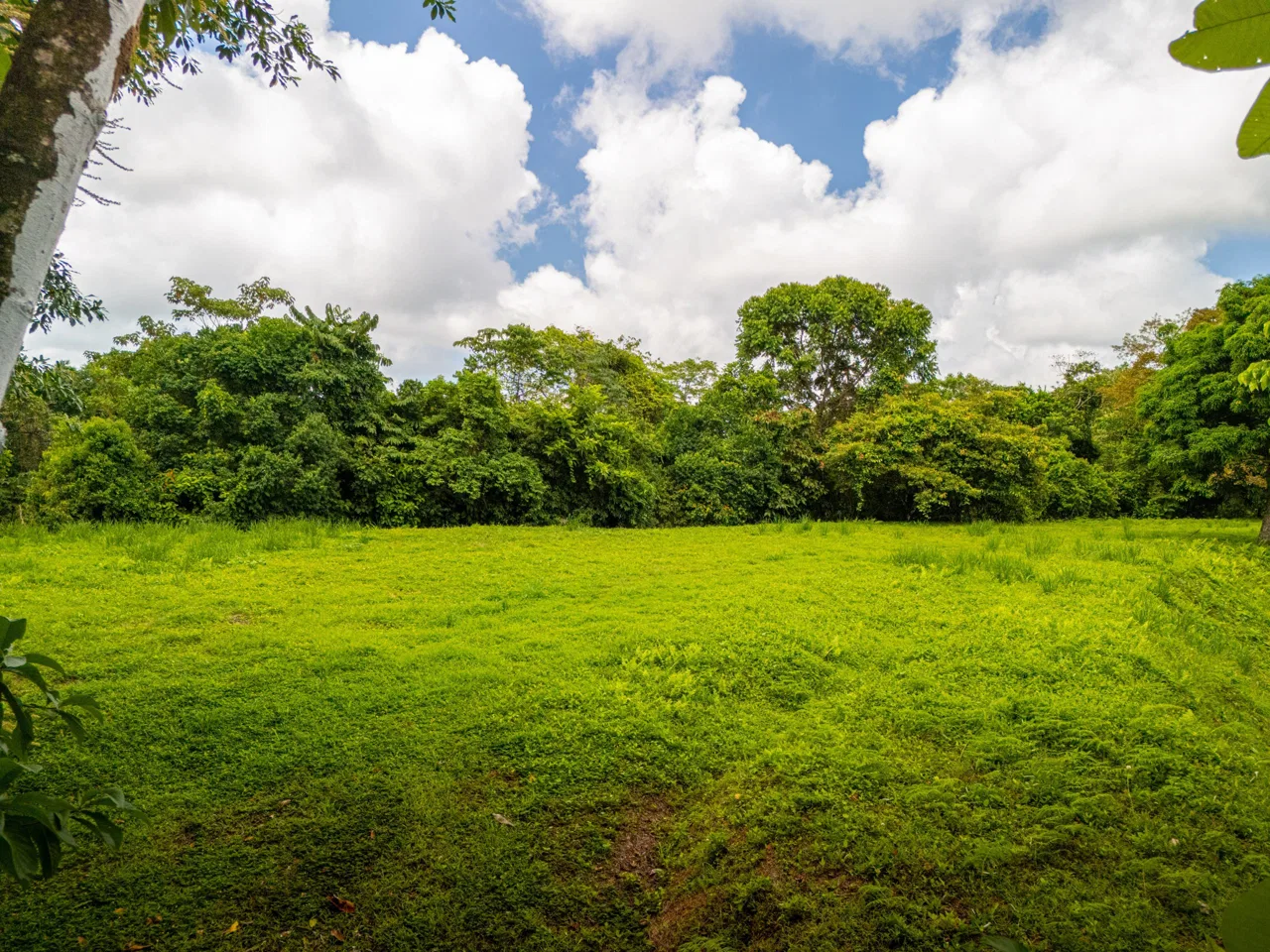 BUILDING MOUNTAIN PROPERTY WITH MOUNTAINS VIEWS, IN TRES RIOS – 9.11 ACRES, photo 17