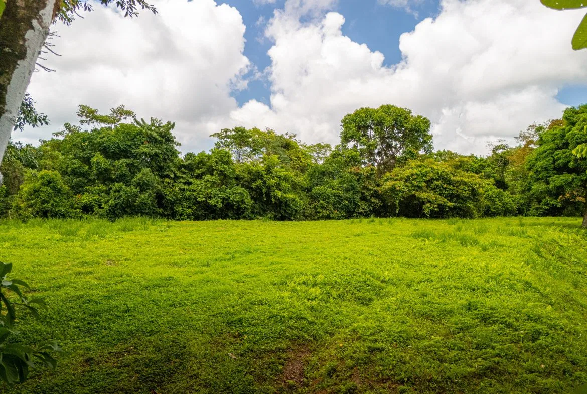 BUILDING MOUNTAIN PROPERTY WITH MOUNTAINS VIEWS, IN TRES RIOS – 9.11 ACRES, photo 18