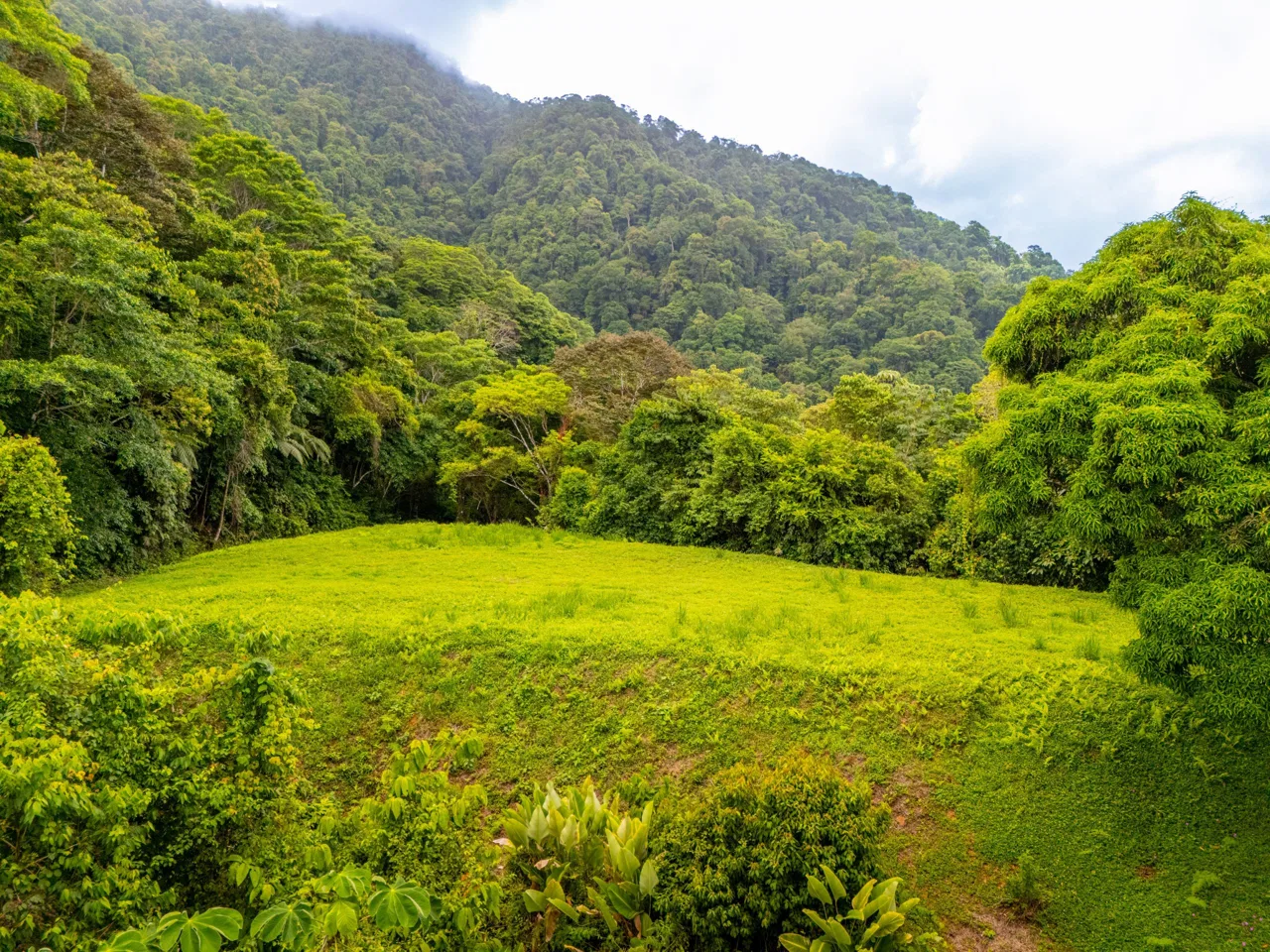 BUILDING MOUNTAIN PROPERTY WITH MOUNTAINS VIEWS, IN TRES RIOS – 9.11 ACRES, photo 19
