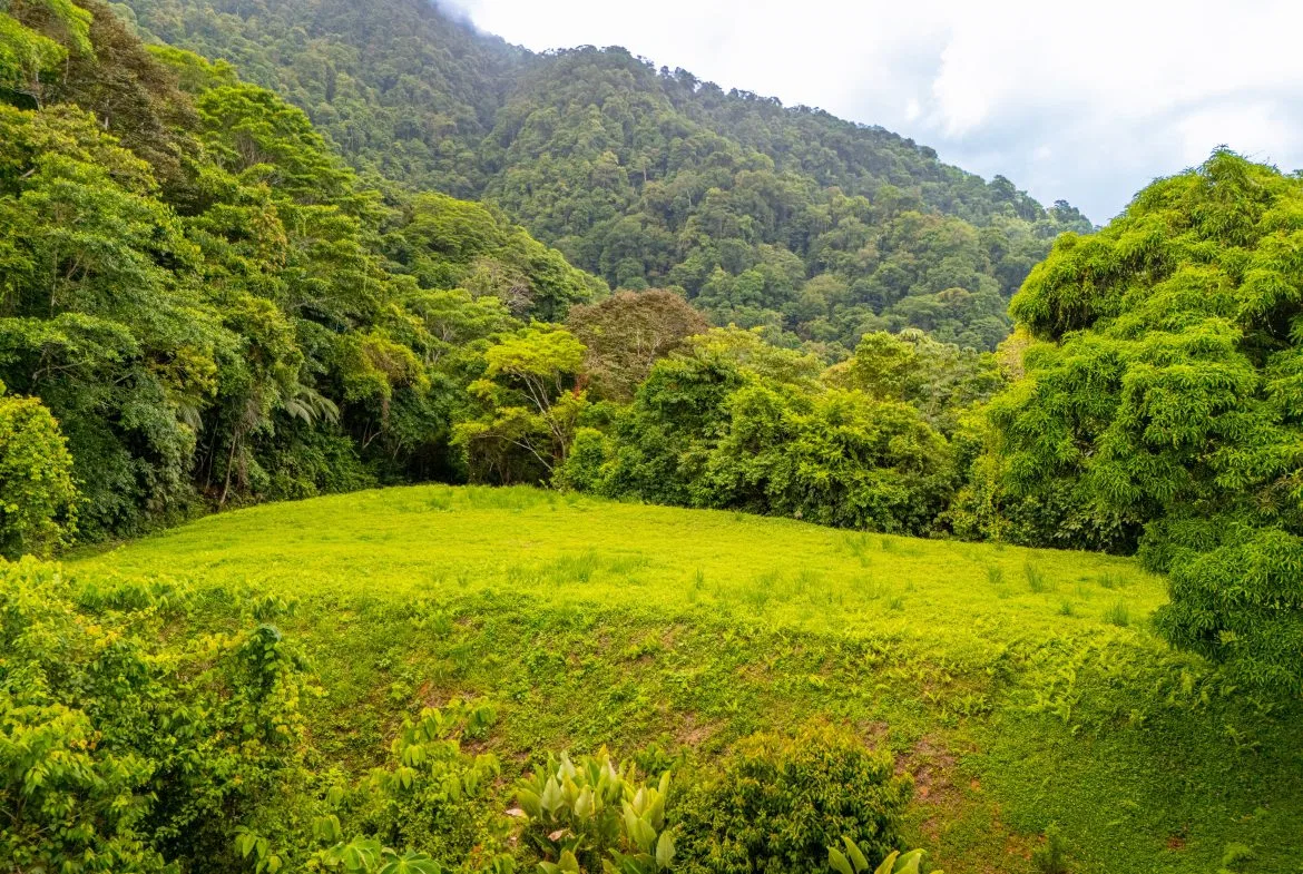 BUILDING MOUNTAIN PROPERTY WITH MOUNTAINS VIEWS, IN TRES RIOS – 9.11 ACRES, photo 20