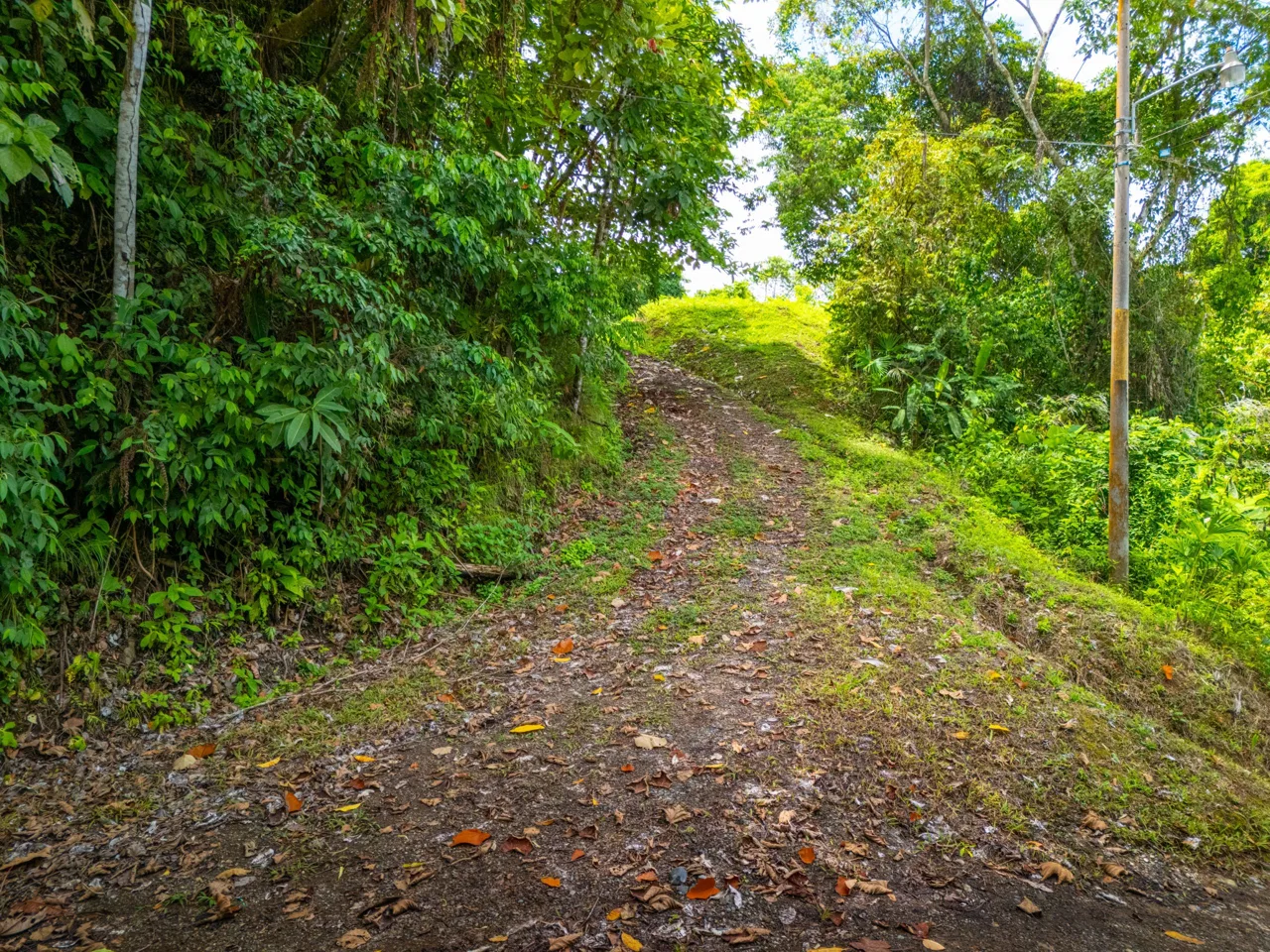 BUILDING MOUNTAIN PROPERTY WITH MOUNTAINS VIEWS, IN TRES RIOS – 9.11 ACRES, photo 3