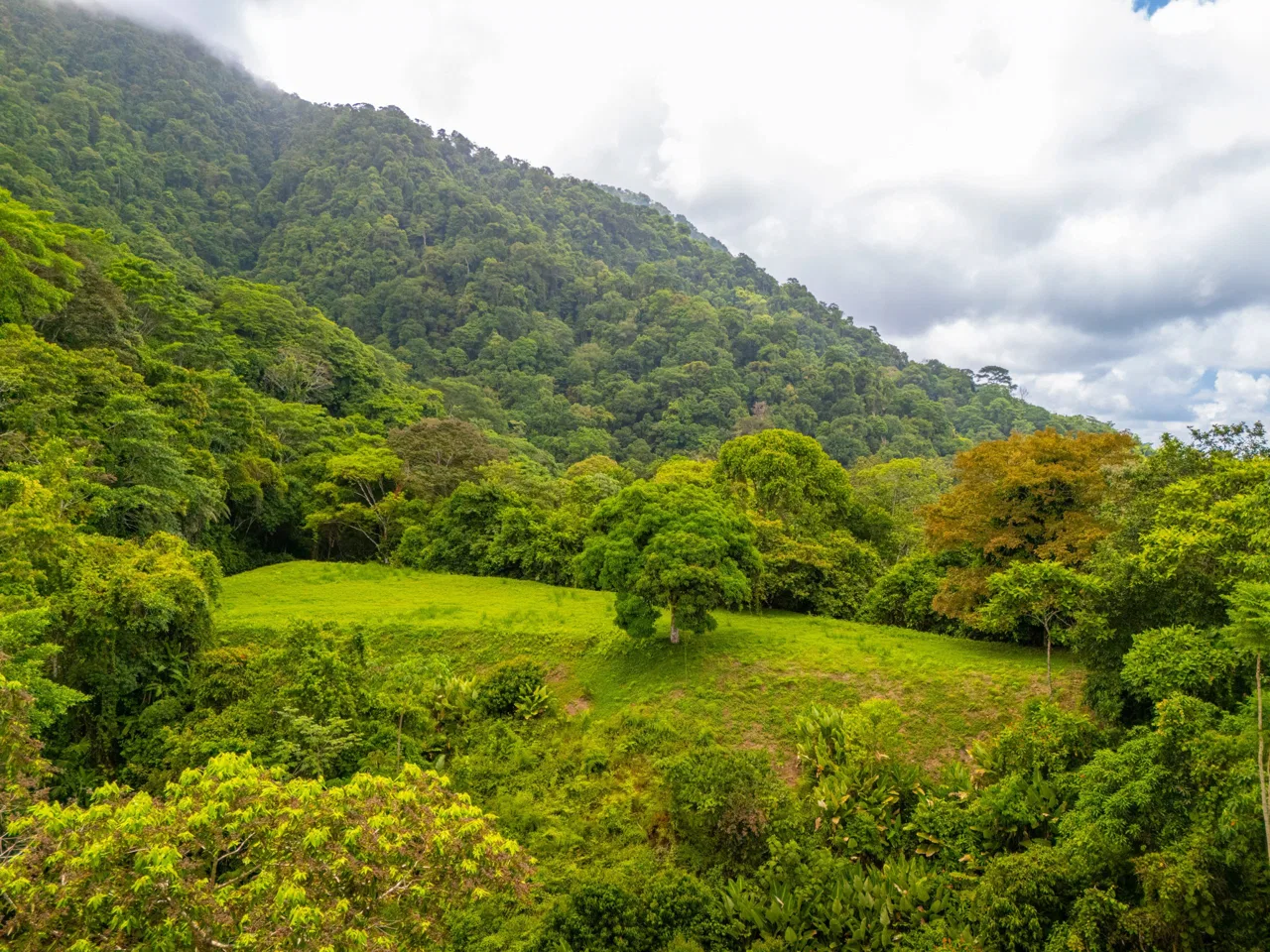 BUILDING MOUNTAIN PROPERTY WITH MOUNTAINS VIEWS, IN TRES RIOS – 9.11 ACRES, photo 21