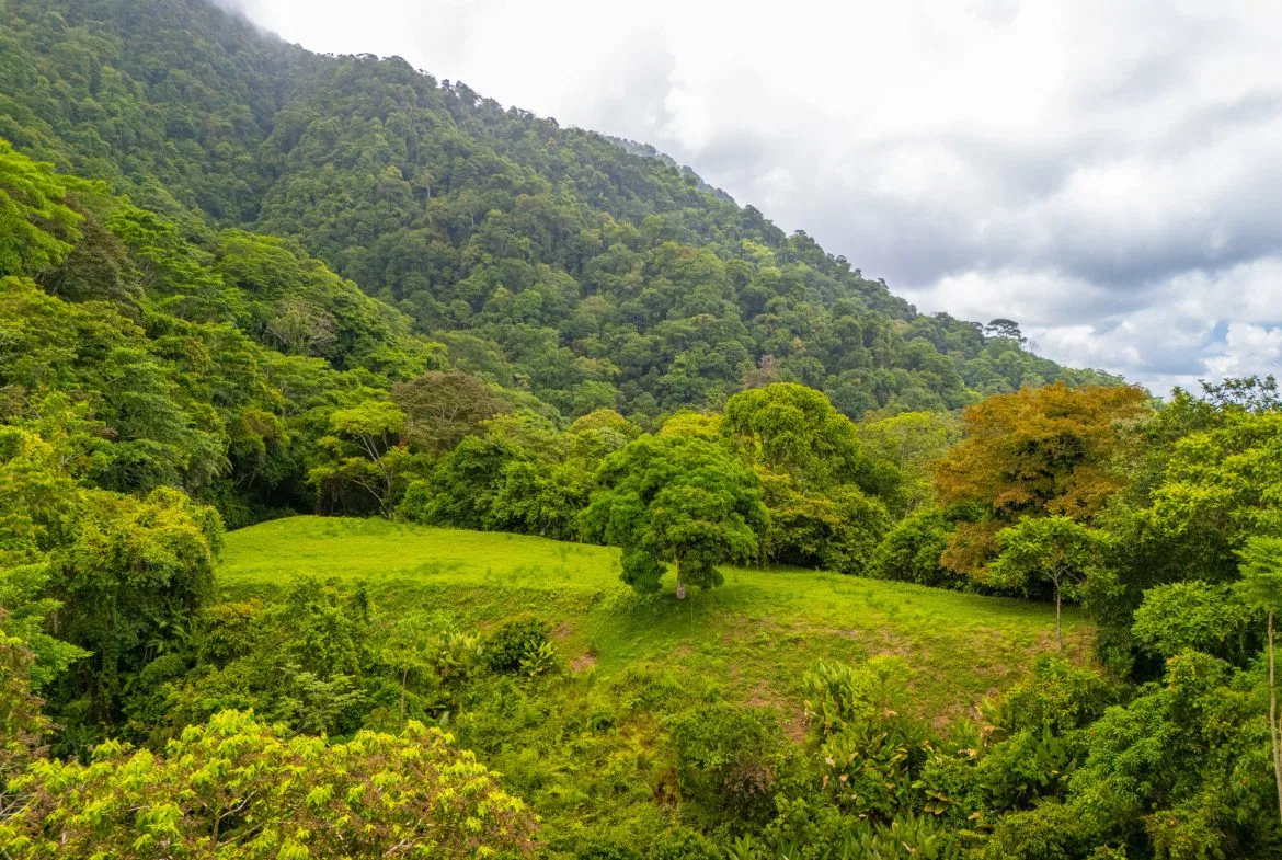 BUILDING MOUNTAIN PROPERTY WITH MOUNTAINS VIEWS, IN TRES RIOS – 9.11 ACRES, photo 22