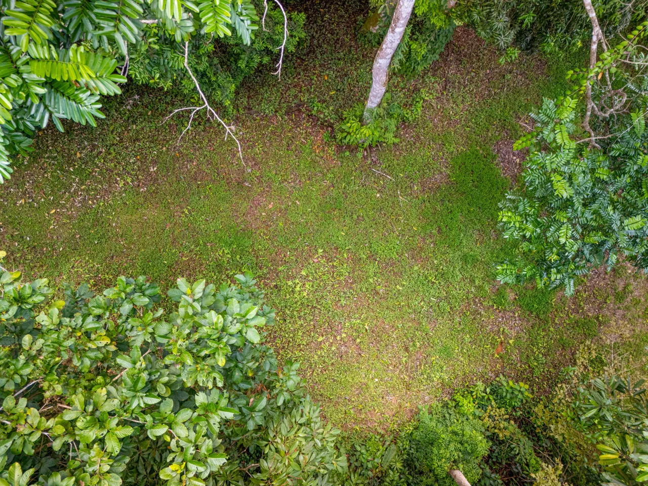 BUILDING MOUNTAIN PROPERTY WITH MOUNTAINS VIEWS, IN TRES RIOS – 9.11 ACRES, photo 23
