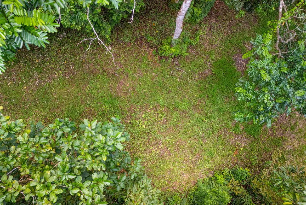 BUILDING MOUNTAIN PROPERTY WITH MOUNTAINS VIEWS, IN TRES RIOS – 9.11 ACRES, photo 24