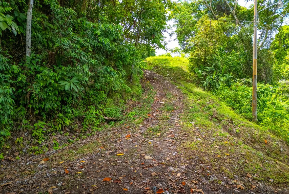 BUILDING MOUNTAIN PROPERTY WITH MOUNTAINS VIEWS, IN TRES RIOS – 9.11 ACRES, photo 4