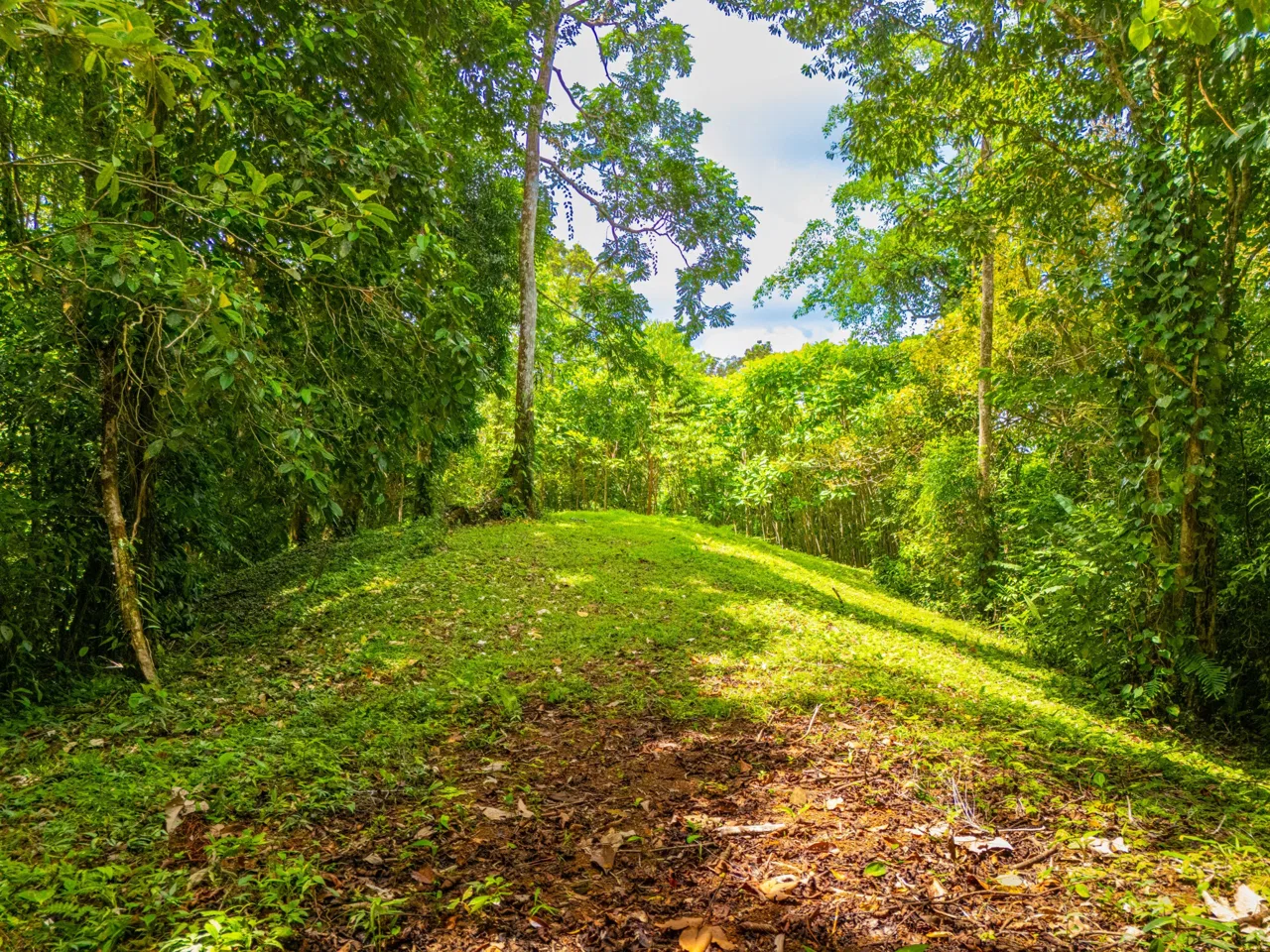 BUILDING MOUNTAIN PROPERTY WITH MOUNTAINS VIEWS, IN TRES RIOS – 9.11 ACRES, photo 7