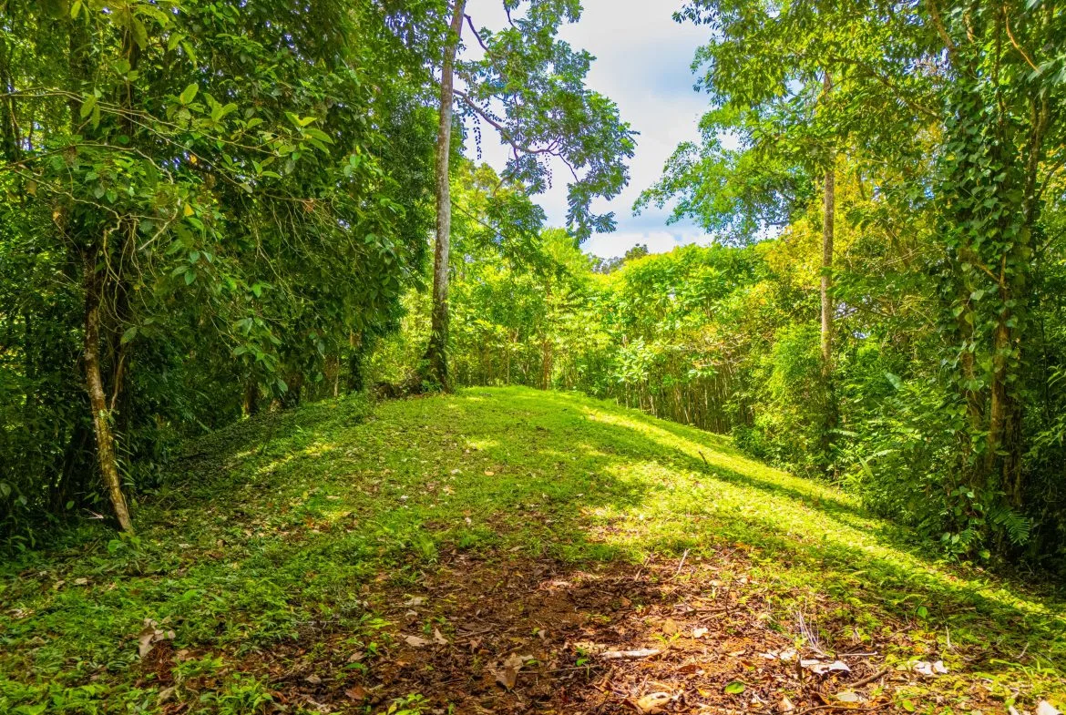 BUILDING MOUNTAIN PROPERTY WITH MOUNTAINS VIEWS, IN TRES RIOS – 9.11 ACRES, photo 8