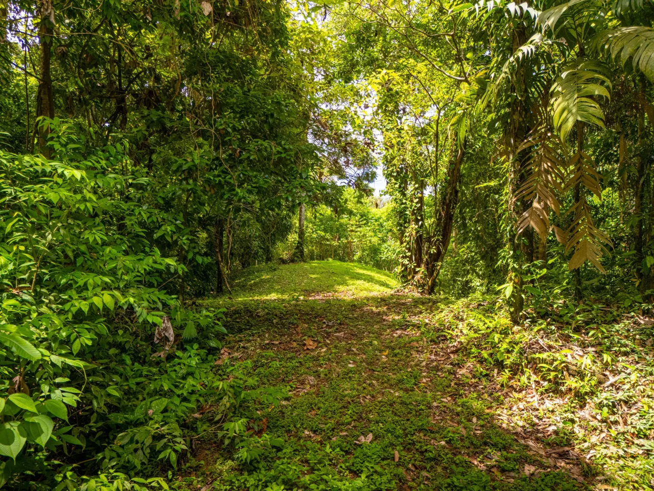 BUILDING MOUNTAIN PROPERTY WITH MOUNTAINS VIEWS, IN TRES RIOS – 9.11 ACRES, photo 9
