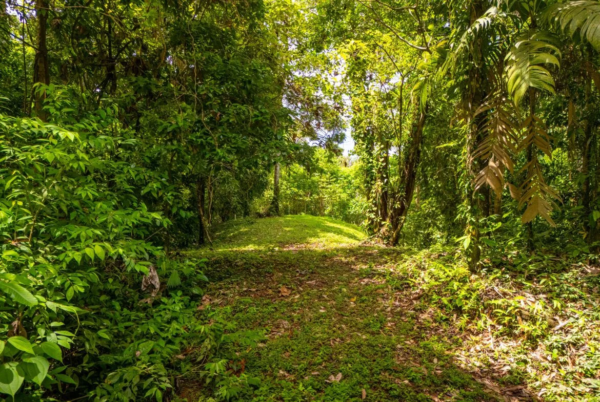 BUILDING MOUNTAIN PROPERTY WITH MOUNTAINS VIEWS, IN TRES RIOS – 9.11 ACRES, photo 10