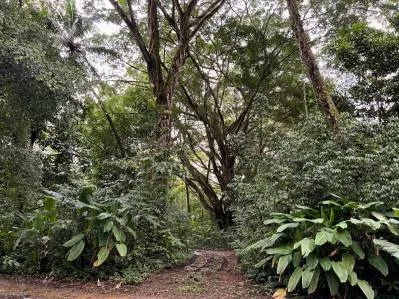 Terreno titulado junto a la playa, $100,000 de descuento! La mejor oferta de la ciudad por $47 m², photo 10