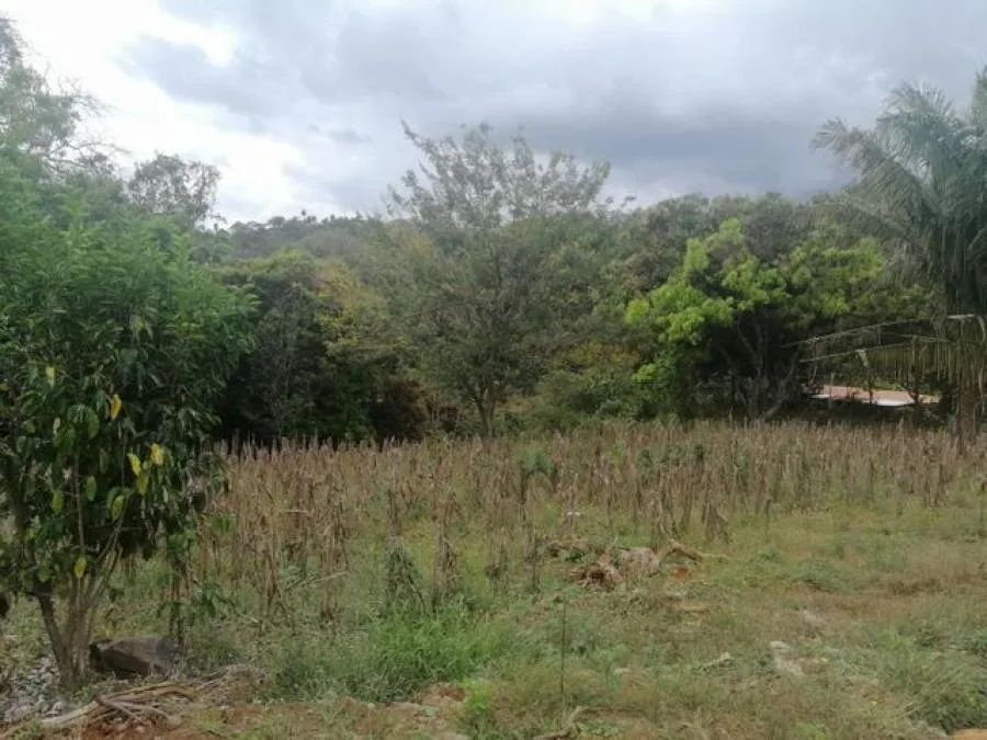 Venta de Lote en Atenas, Alajuela. - Venta en Alajuela