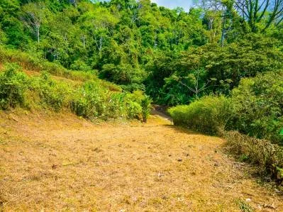 Lot for Sale in Ballena Views – Ojochal – Surrounded by Nature and Close to All Amenities, photo 2