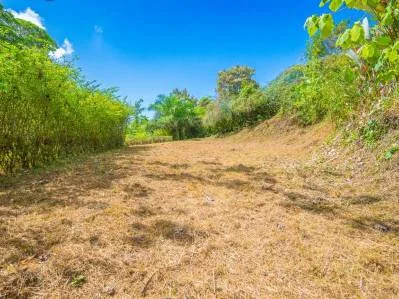 Lot for Sale in Ballena Views – Ojochal – Surrounded by Nature and Close to All Amenities, photo 4