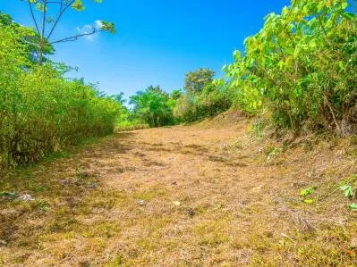 Lot for Sale in Ballena Views – Ojochal – Surrounded by Nature and Close to All Amenities, photo 5
