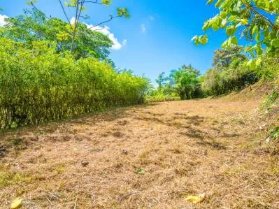 Lot for Sale in Ballena Views – Ojochal – Surrounded by Nature and Close to All Amenities, photo 6