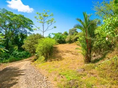 Lot for Sale in Ballena Views – Ojochal – Surrounded by Nature and Close to All Amenities, photo 10