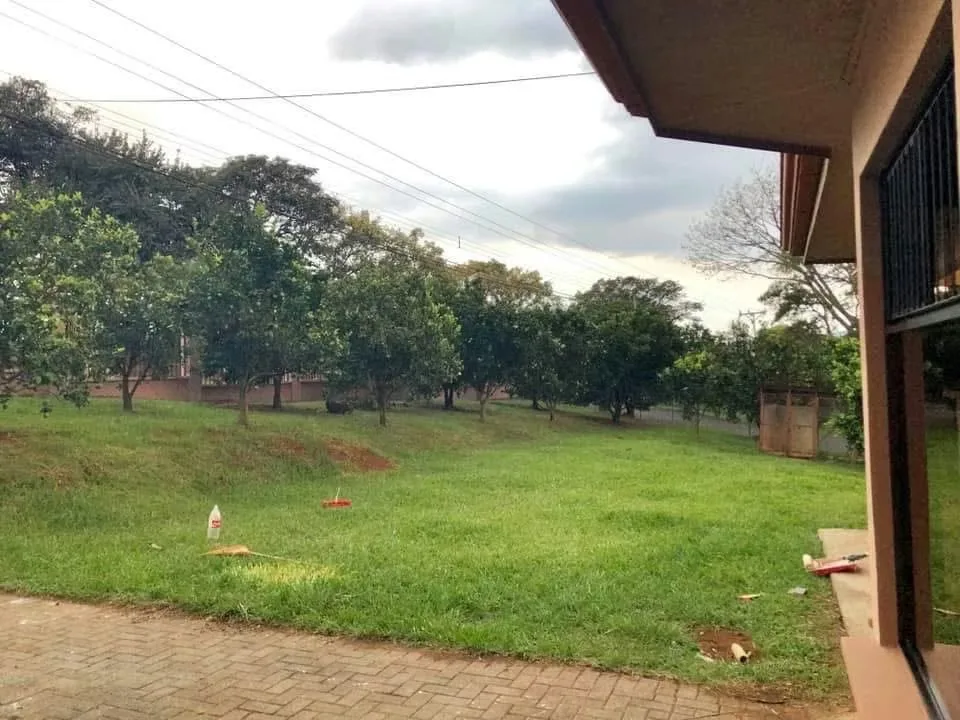 Disfrute del mejor clima del mundo en esta espaciosa residencia rodeada de naturaleza, ideal para familias que buscan ..., photo 4