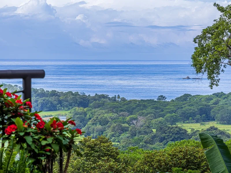 3 Bed Single Family Homes For Sale in Uvita, photo 12