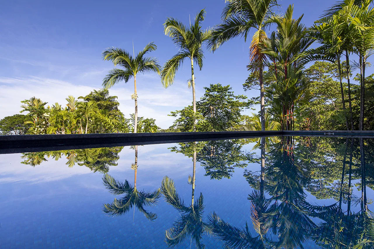 LUXURY OCEAN VIEW PROPERTY WITH HOUSE AND GUEST HOUSE – 7.36 ACRES, photo 11