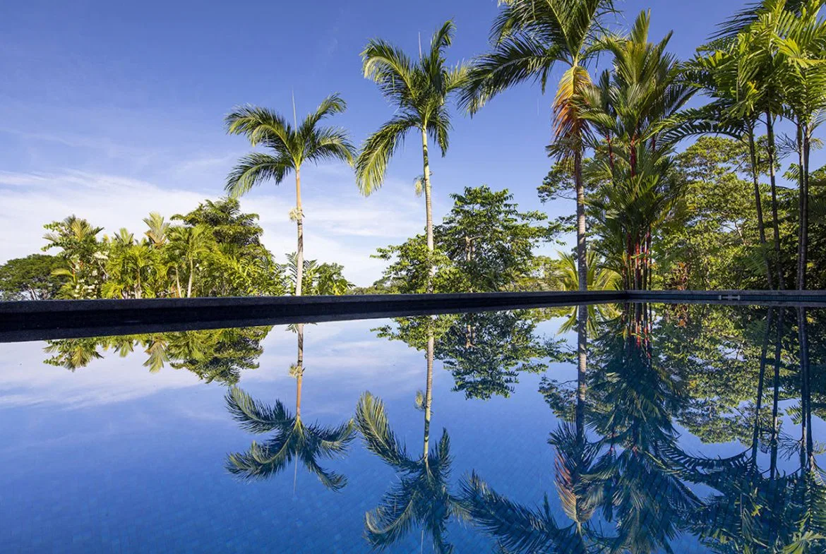 LUXURY OCEAN VIEW PROPERTY WITH HOUSE AND GUEST HOUSE – 7.36 ACRES, photo 12