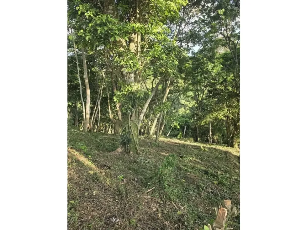 Venta de Hermoso Terreno, Santo Domingo de Heredia, Los Angeles, Tures, photo 4