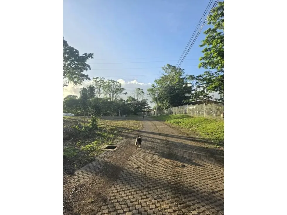 Venta de Hermoso Terreno, Santo Domingo de Heredia, Los Angeles, Tures, photo 5