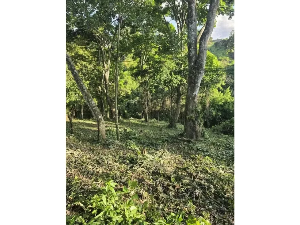 Venta de Hermoso Terreno, Santo Domingo de Heredia, Los Angeles, Tures, photo 6