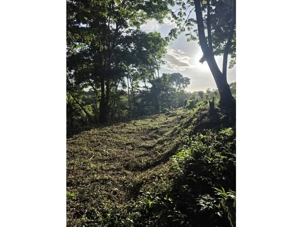 Venta de Hermoso Terreno, Santo Domingo de Heredia, Los Angeles, Tures, photo 10