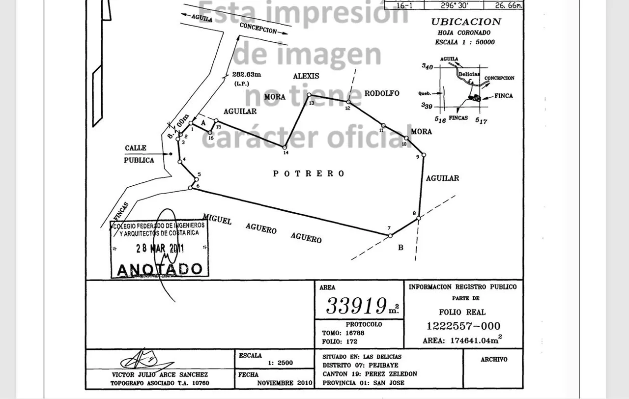 Stunning Farm For Sale In The Center Of Pejibaye, Exceptional Price Call Now, photo 11