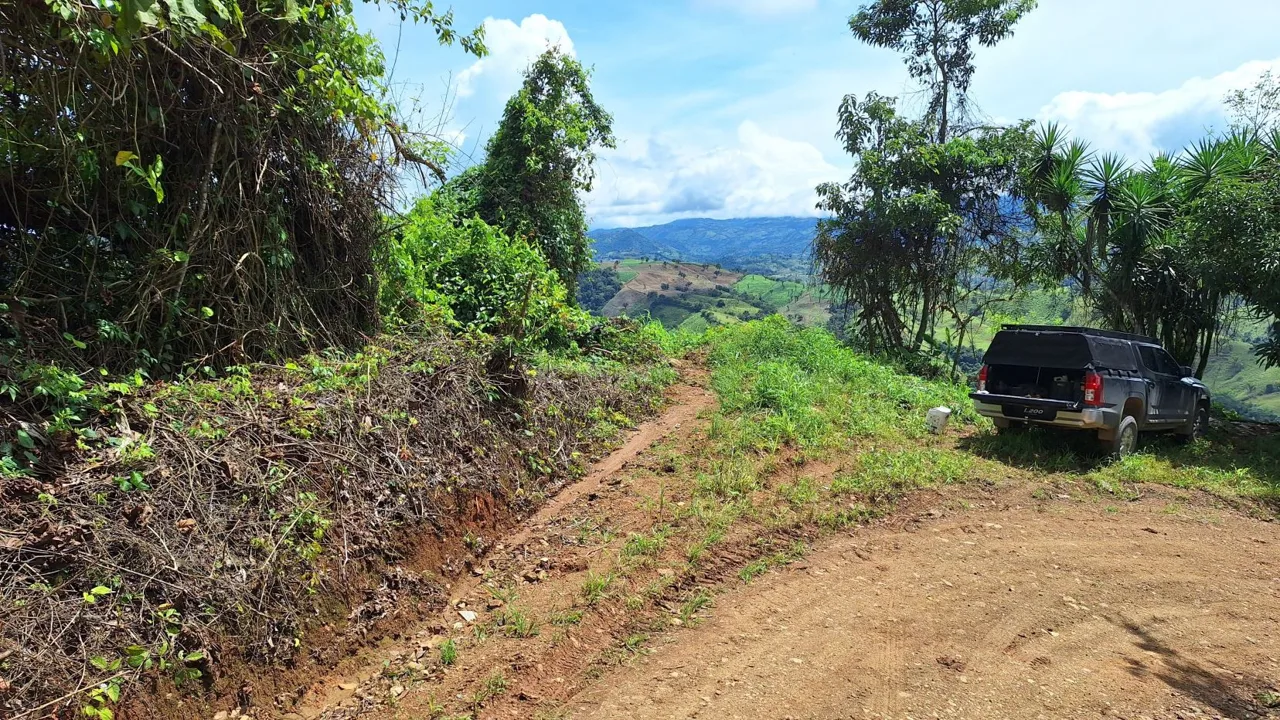 Stunning Farm For Sale In The Center Of Pejibaye, Exceptional Price Call Now, photo 7